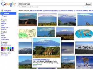 Mount Kilimanjaro search results