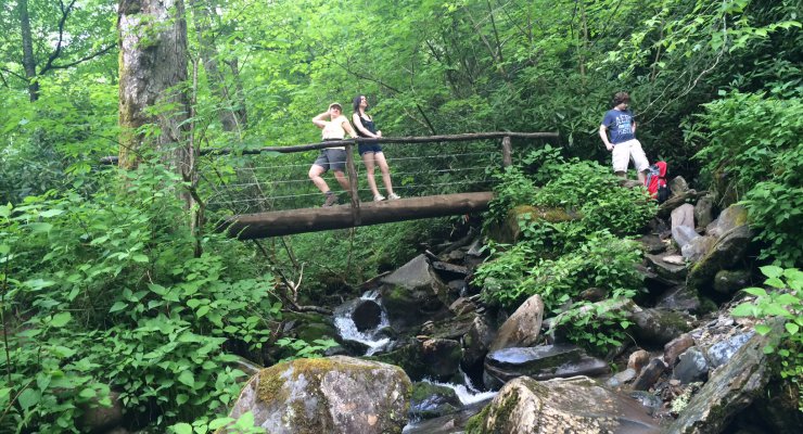 Image of Alum Cave Bluff Trail